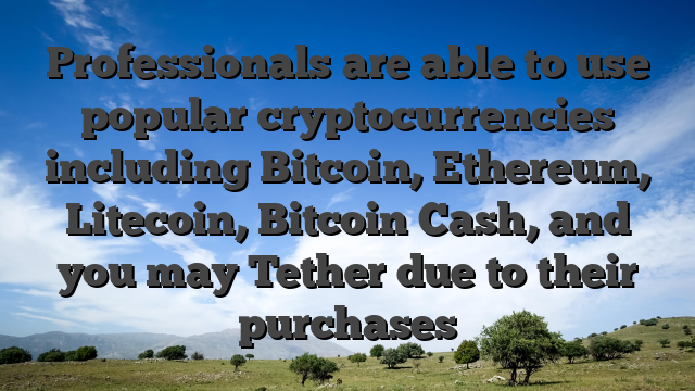 Professionals are able to use popular cryptocurrencies including Bitcoin, Ethereum, Litecoin, Bitcoin Cash, and you may Tether due to their purchases