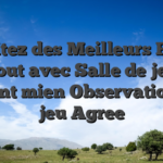 Profitez des Meilleurs Fiche Va-tout avec Salle de jeu en tenant mien Observation de jeu Agree