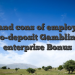 Pros and cons of employing a no-deposit Gambling enterprise Bonus