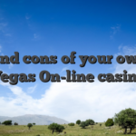 Pros and cons of your own Sky Vegas On-line casino