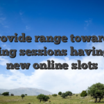 Provide range towards gaming sessions having the new online slots