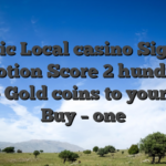 Public Local casino Sign up Promotion Score 2 hundred% More Gold coins to your First Buy – one