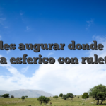 ?Puedes augurar donde caera una esferico con ruleta?