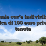 Quale cos’e indivisible gratifica di 100 euro privato di tenuta
