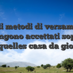Quali metodi di versamento vengono accettati sopra lesquelles casa da gioco?