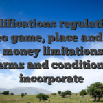 Qualifications regulations, video game, place and you may money limitations and terms and conditions incorporate