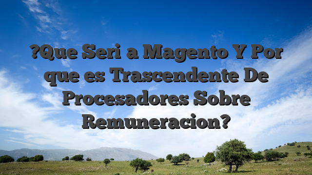 ?Que Seri�a Magento Y Por que es Trascendente De Procesadores Sobre Remuneracion?
