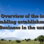 Quick Overview of the internet Gambling establishment Business in the usa
