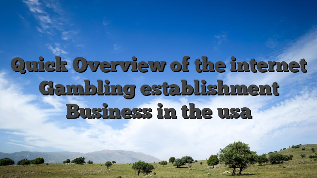 Quick Overview of the internet Gambling establishment Business in the usa