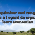 Quoi optimiser ceci range de 2 euros a l�egard de organiser leurs economies