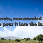 Raffinato, commanded them puro pour it into the lamps