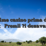Real time casino prima de bun venit � Premii ?i dezavantaje