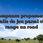Recompense proposees par mon salle de jeu parmi chemin range un rond