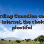 Regarding Canadian casinos on the internet, the choices are plentiful
