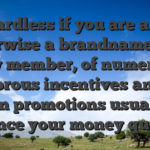 Regardless if you are a part otherwise a brandname-this new member, of numerous glamorous incentives and you can promotions usually enhance your money quickly!