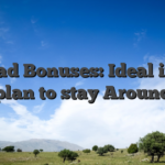 Reload Bonuses: Ideal if you plan to stay Around