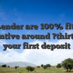 Render are 100% fits incentive around ?thirty on your first deposit