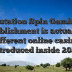 Reputation Spin Gambling establishment is actually a different online casino introduced inside 2020