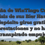 Reseña de WinTingo Casino Análisis de sus Bier Haus sin depósito giros gratis prestaciones y no ha transpirado empuje