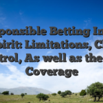 Responsible Betting In the Winspirit: Limitations, Chance Control, As well as the 18+ Coverage