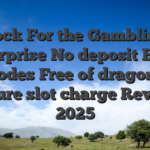Rock For the Gambling enterprise No deposit Extra Codes Free of dragons treasure slot charge Revolves 2025