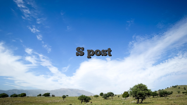 S post