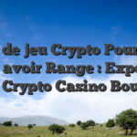Salle de jeu Crypto Pourboire Sans avoir Range : Expertise avec Crypto Casino Bouquin