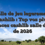 Salle de jeu legerement Cashlib : Top vos plus efficaces cashlib salle de jeu de 2026