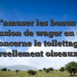 S’amuser les bonus a l�exclusion de wager en ce qui concerne le toilettage reellement oiseaux