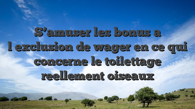 S’amuser les bonus a l�exclusion de wager en ce qui concerne le toilettage reellement oiseaux