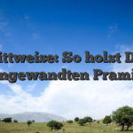 Schrittweise: So holst Du Dir angewandten Pramie