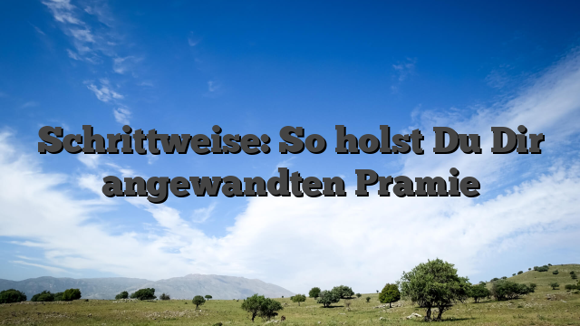 Schrittweise: So holst Du Dir angewandten Pramie