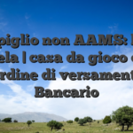 Scompiglio non AAMS: l’aiuto clientela | casa da gioco online Ordine di versamento Bancario