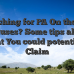 Searching for PA On the web Bonuses? Some tips about what You could potentially Claim