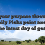 Seek your purpose throughout the Daily Picks point and done the latest day of goal