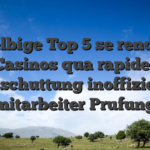 Selbige Top 5 se rendre Casinos qua rapider Ausschuttung inoffizieller mitarbeiter Prufung
