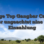 Selbige Top Gangbar Casinos uber ungeachtet nine Eur Einzahlung