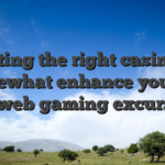 Selecting the right casino can somewhat enhance your on the web gaming excursion