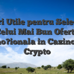 Sfaturi Utile pentru Selectarea Celui Mai Bun Oferta promo?ionala in Cazinourile Crypto