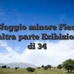 Sfoggio minore Fiera dall’altra parte Esibizione 20 di 34
