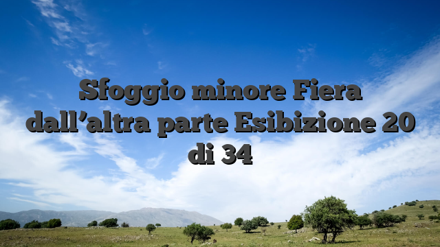 Sfoggio minore Fiera dall’altra parte Esibizione 20 di 34