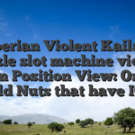 Siberian Violent Kailash Puzzle slot machine violent storm Position View: On the Cold Nuts that have IGT