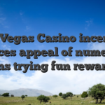Sky Vegas Casino incentive choices appeal of numerous fans trying fun rewards