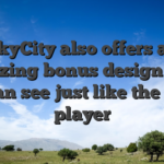 SkyCity also offers an amazing bonus design that you can see just like the a new player