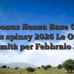 Slot Bonus Senza Base Codice bonus spinsy 2026 Le Offerte Sommità per Febbraio 2026