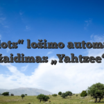 „Slots“ lošimo automatų žaidimas „Yahtzee“