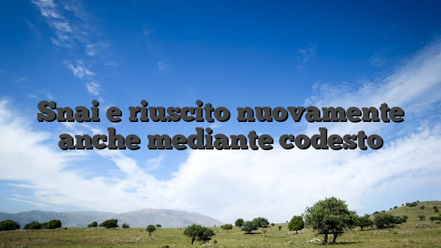 Snai e riuscito nuovamente anche mediante codesto
