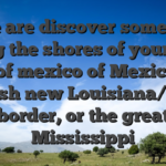 Some are discover sometimes along the shores of your own Gulf of mexico of Mexico, the fresh new Louisiana/Tx border, or the great Mississippi