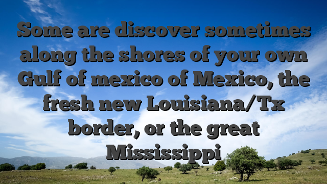 Some are discover sometimes along the shores of your own Gulf of mexico of Mexico, the fresh new Louisiana/Tx border, or the great Mississippi