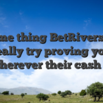Some thing BetRivers do really try proving you wherever their cash is
